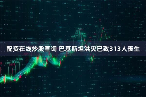 配资在线炒股查询 巴基斯坦洪灾已致313人丧生