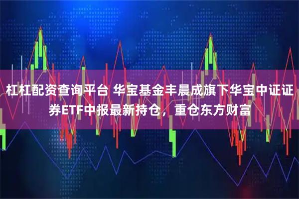 杠杠配资查询平台 华宝基金丰晨成旗下华宝中证证券ETF中报最新持仓，重仓东方财富